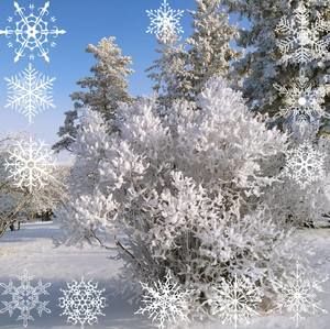 Meet your Posher, Velma